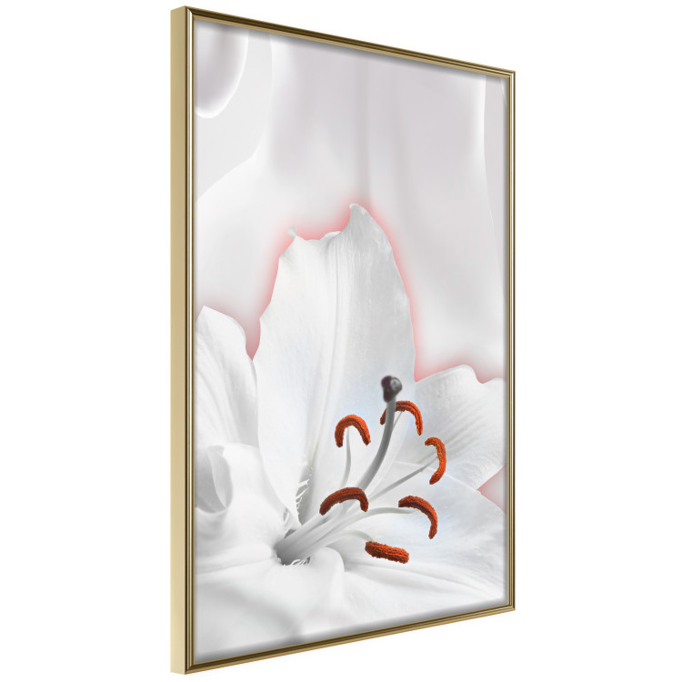 Poster I Am Woman - white lily flower with delicate red contrast 127243 additionalImage 14