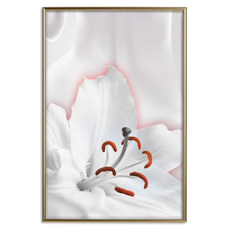 Poster I Am Woman - white lily flower with delicate red contrast 127243 additionalImage 21