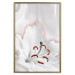 Poster I Am Woman - white lily flower with delicate red contrast 127243 additionalThumb 21