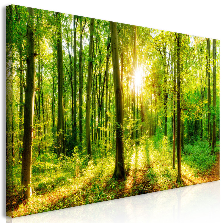 Large canvas print Green Magic II [Large Format] 128643 additionalImage 2