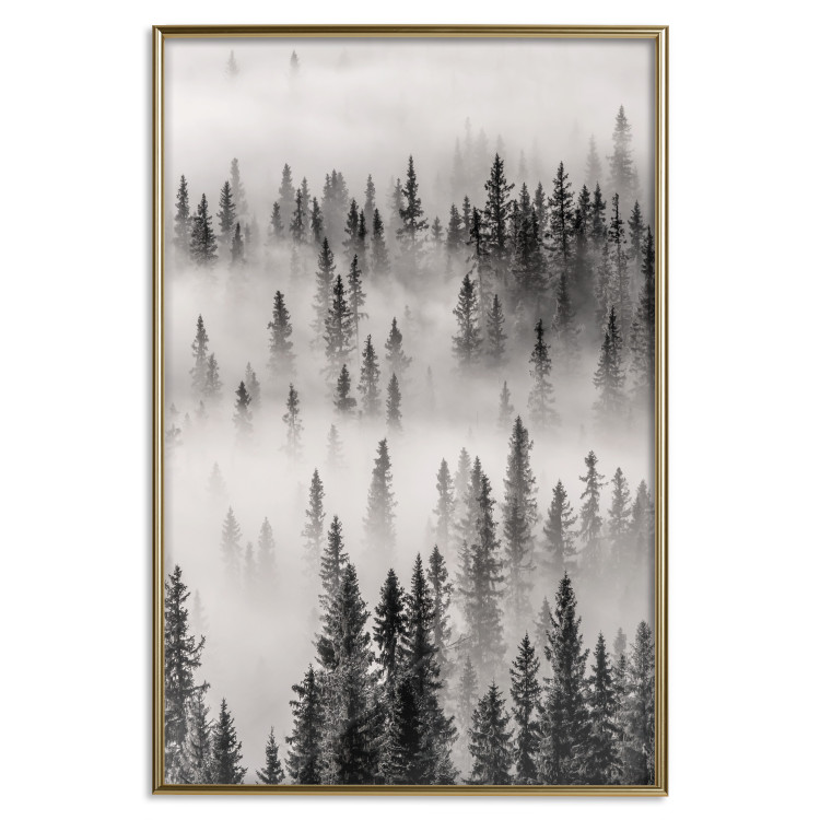 Poster Nesting Site - landscape of a forest with spruce trees covered in thick fog 130243 additionalImage 15