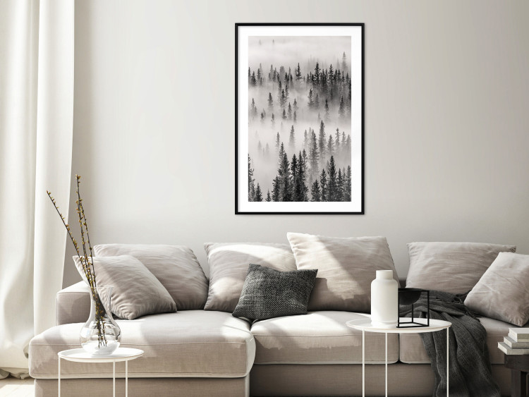 Poster Nesting Site - landscape of a forest with spruce trees covered in thick fog 130243 additionalImage 20