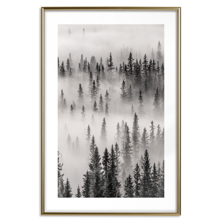 Poster Nesting Site - landscape of a forest with spruce trees covered in thick fog 130243 additionalImage 18