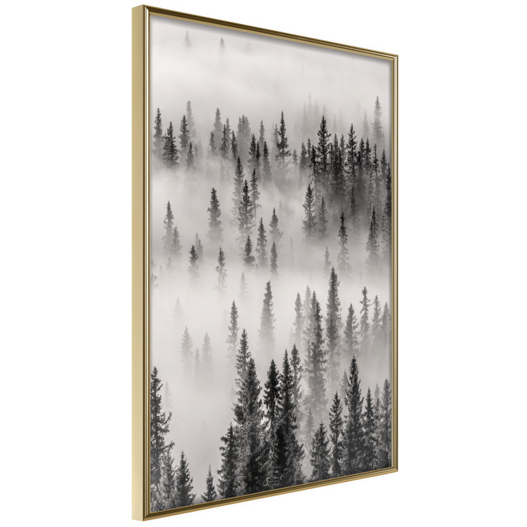 Poster Nesting Site - landscape of a forest with spruce trees covered in thick fog 130243 additionalImage 12