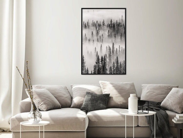 Poster Nesting Site - landscape of a forest with spruce trees covered in thick fog 130243 additionalImage 4