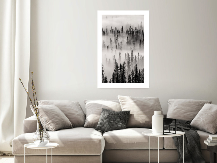 Poster Nesting Site - landscape of a forest with spruce trees covered in thick fog 130243 additionalImage 3