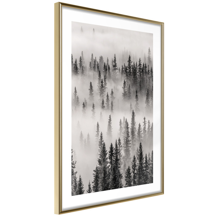 Poster Nesting Site - landscape of a forest with spruce trees covered in thick fog 130243 additionalImage 7