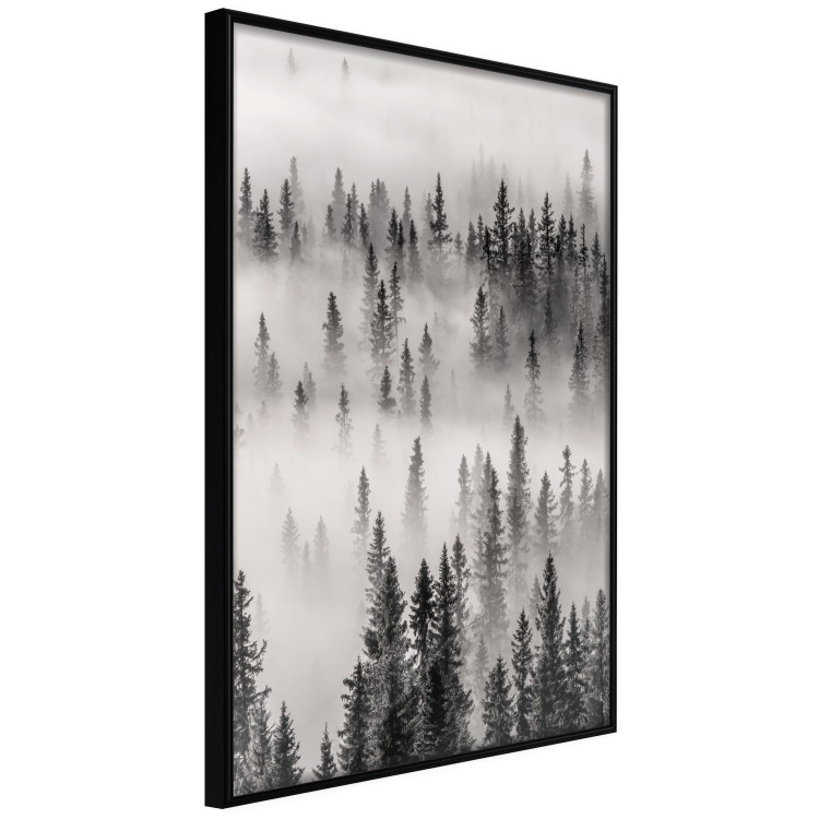 Poster Nesting Site - landscape of a forest with spruce trees covered in thick fog 130243 additionalImage 11