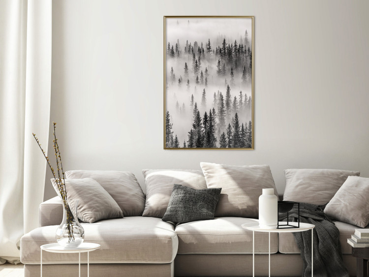 Poster Nesting Site - landscape of a forest with spruce trees covered in thick fog 130243 additionalImage 5