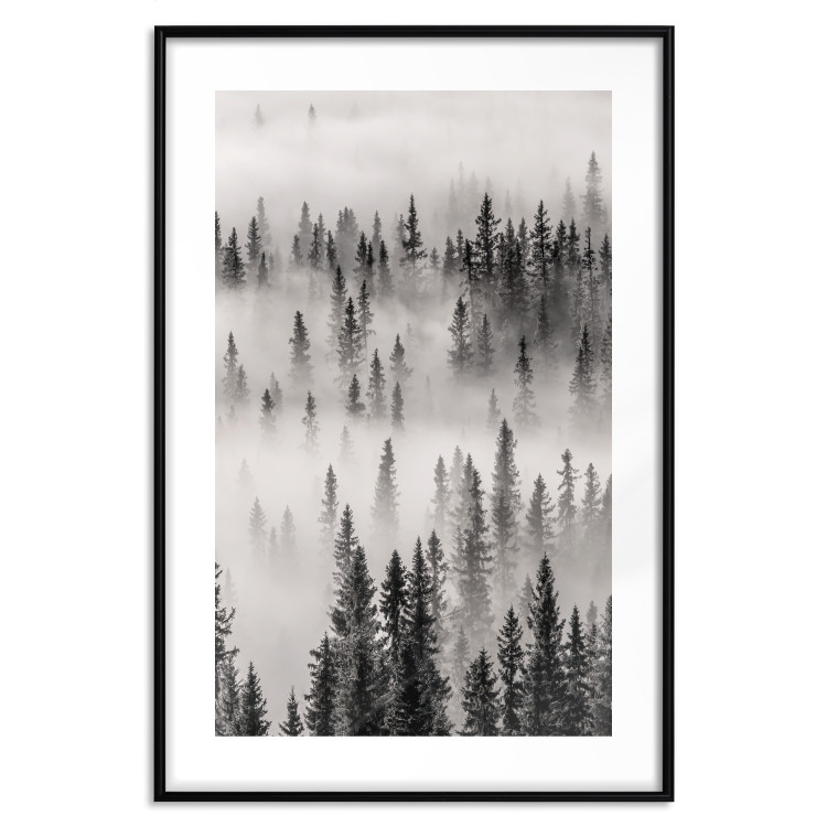 Poster Nesting Site - landscape of a forest with spruce trees covered in thick fog 130243 additionalImage 17