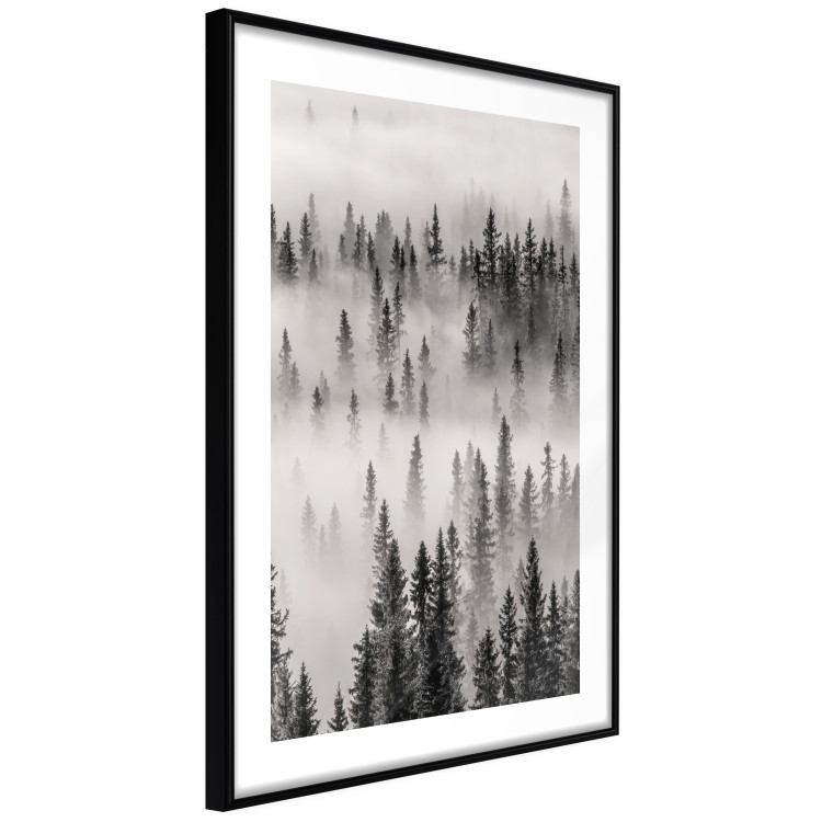 Poster Nesting Site - landscape of a forest with spruce trees covered in thick fog 130243 additionalImage 6