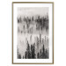 Poster Nesting Site - landscape of a forest with spruce trees covered in thick fog 130243 additionalThumb 18