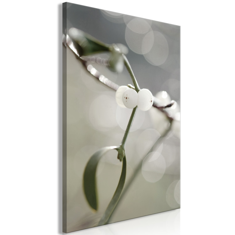 Canvas Art Print Mistletoe sprig - winter, botanical photography on a grey background 130743 additionalImage 2