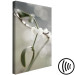 Canvas Art Print Mistletoe sprig - winter, botanical photography on a grey background 130743 additionalThumb 6