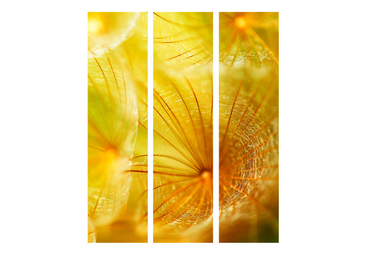 Room Separator Delicate Dandelion Puffs (3-piece) - yellow fantasy in flowers 132743 additionalImage 3