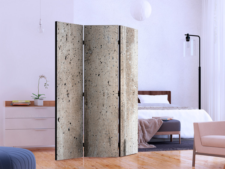 Room Divider Screen Old Concrete (3-piece) - industrial composition with concrete background 132943 additionalImage 2