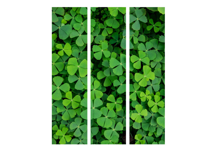 Room Separator Green Clover (3-piece) - simple composition with delicate leaves 133043 additionalImage 3