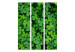 Room Separator Green Clover (3-piece) - simple composition with delicate leaves 133043 additionalThumb 3