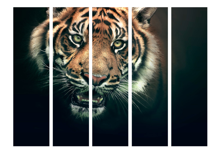 Room Divider Screen Bengal Tiger II (5-piece) - wild animal on a black background 133343 additionalImage 3