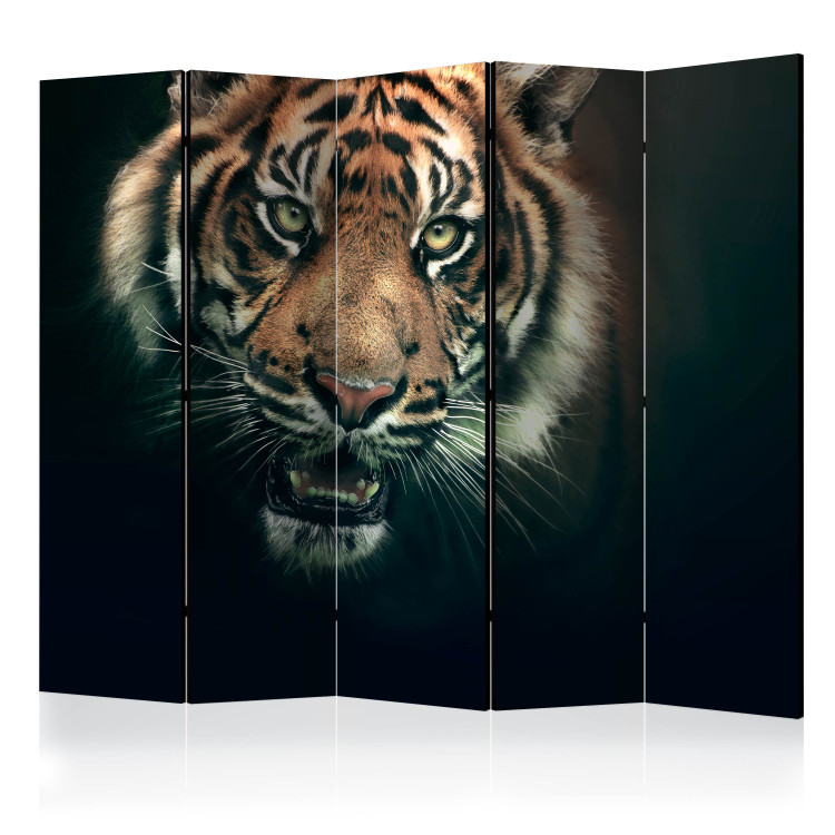 Room Divider Screen Bengal Tiger II (5-piece) - wild animal on a black background 133343