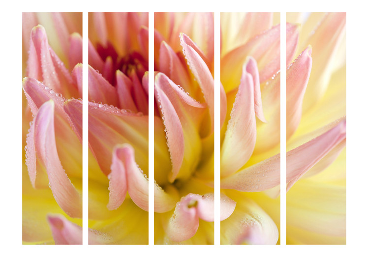 Room Separator Pastel Dahlia with Dew Drops II - pink-yellow flower composition 134043 additionalImage 3
