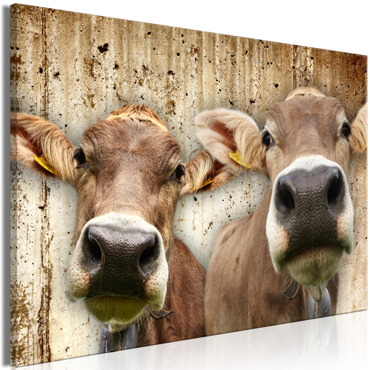 Canvas Portrait of Two Cows (1-piece) - animals against a concrete wall 145143 additionalImage 2