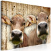 Canvas Portrait of Two Cows (1-piece) - animals against a concrete wall 145143 additionalThumb 2