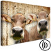 Canvas Portrait of Two Cows (1-piece) - animals against a concrete wall 145143 additionalThumb 6