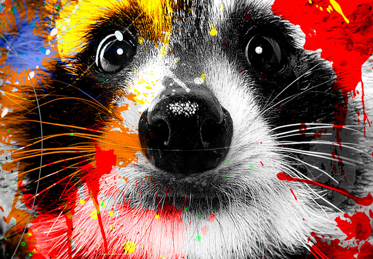 Acrylic print Colourful Animals: Racoon [Glass] 150643 additionalImage 5