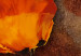 Canvas Art Print Subtle Poppies (3-piece) - Orange flowers on a brown background 48643 additionalThumb 3