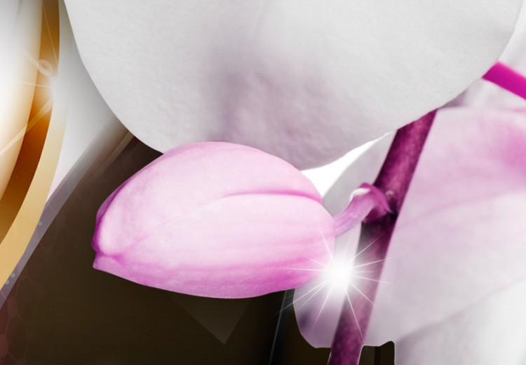 Canvas Orchids: pink flowers 50043 additionalImage 5