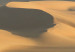 Canvas The endless sand of a desert  58643 additionalThumb 4