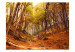 Photo Wallpaper Autumn-Coloured Forest - Landscape of Nature in Autumn with Fallen Leaves 59843 additionalThumb 1