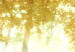 Canvas Art Print Autumn Forest 62343 additionalThumb 5