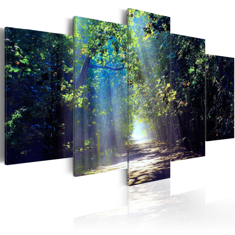Canvas Sunny Forest Path 62443 additionalImage 2