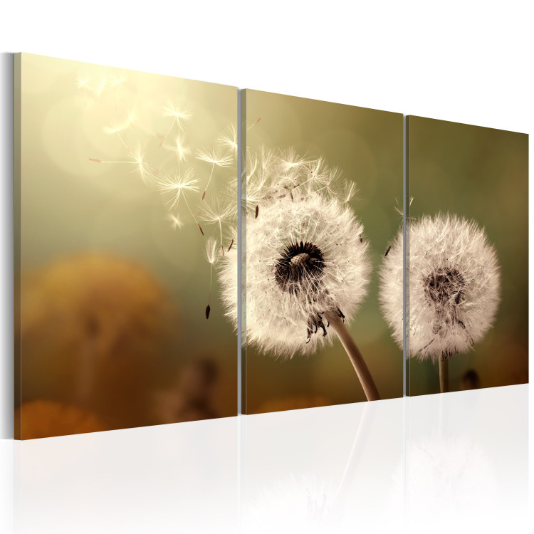 Canvas Art Print Whisper of Summer (3-piece) - Delicate Dandelions in Breeze 92743 additionalImage 2