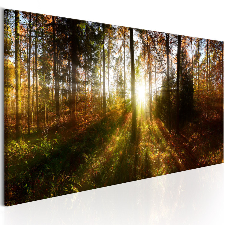 Canvas Beautiful Forest  93943 additionalImage 2