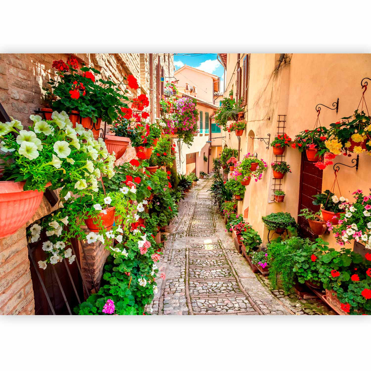 Photo Wallpaper Umbria - Mediterranean landscape with colourful architecture and flowers 98143 additionalImage 1