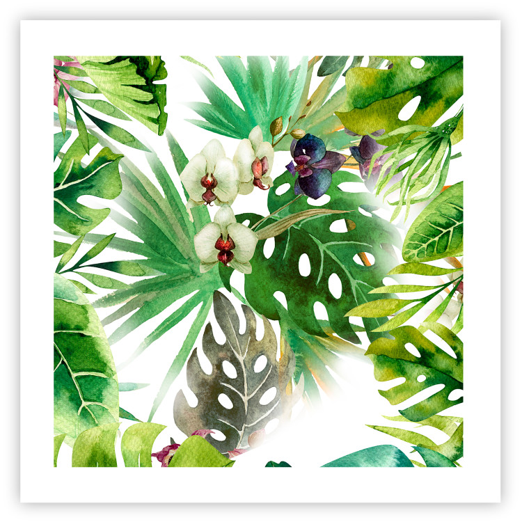 Poster Tropical shadow (square) - botanical composition with green leaves 114353 additionalImage 19