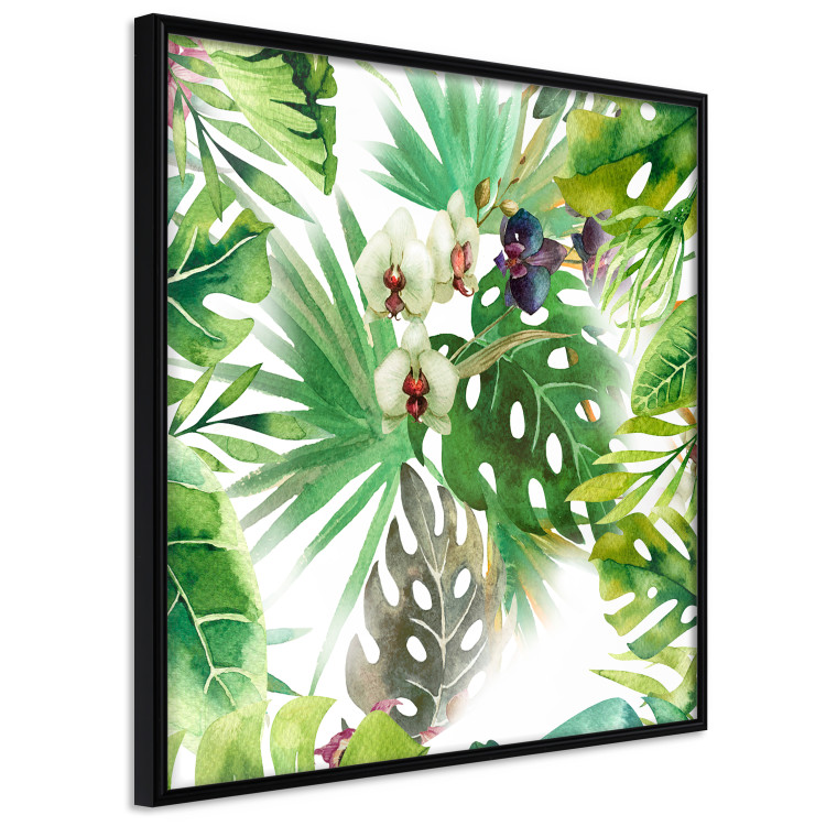Poster Tropical shadow (square) - botanical composition with green leaves 114353 additionalImage 9