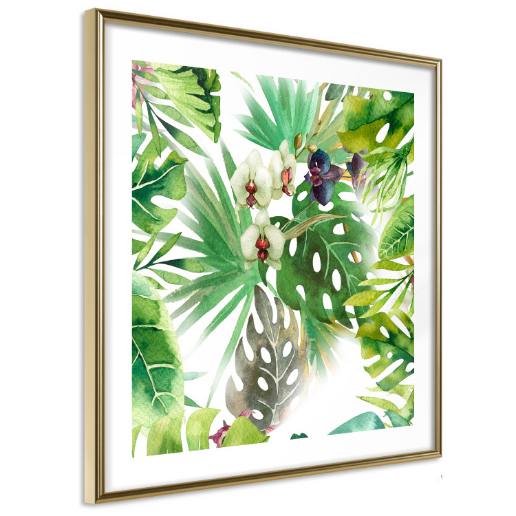 Poster Tropical shadow (square) - botanical composition with green leaves 114353 additionalImage 5