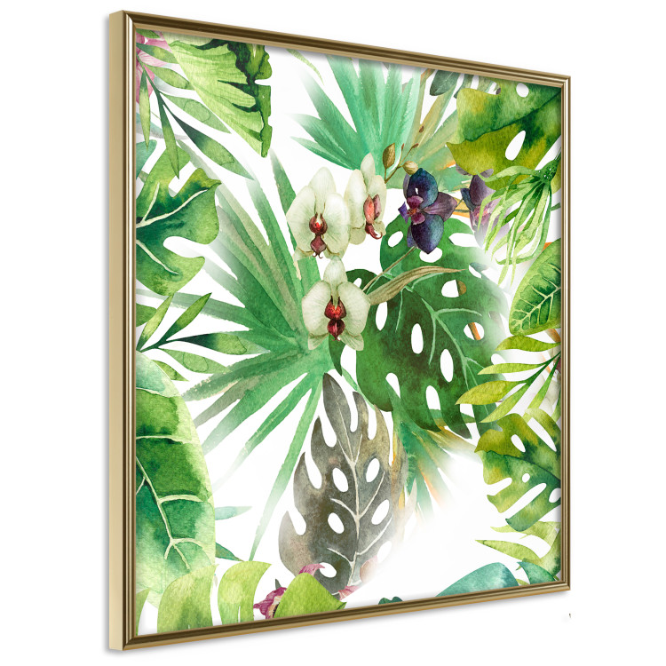 Poster Tropical shadow (square) - botanical composition with green leaves 114353 additionalImage 10