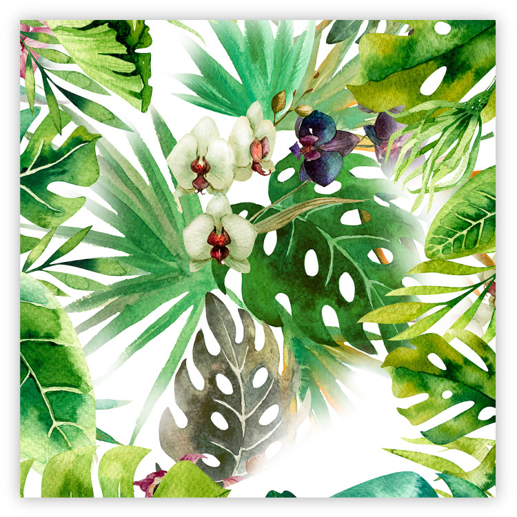 Poster Tropical shadow (square) - botanical composition with green leaves 114353