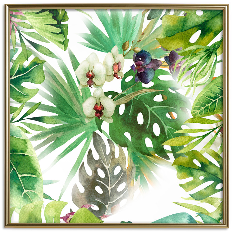 Poster Tropical shadow (square) - botanical composition with green leaves 114353 additionalImage 16