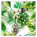 Poster Tropical shadow (square) - botanical composition with green leaves 114353