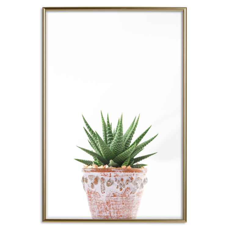 Wall Poster Succulents in Pot - composition with green leaves on a solid background 116653 additionalImage 16