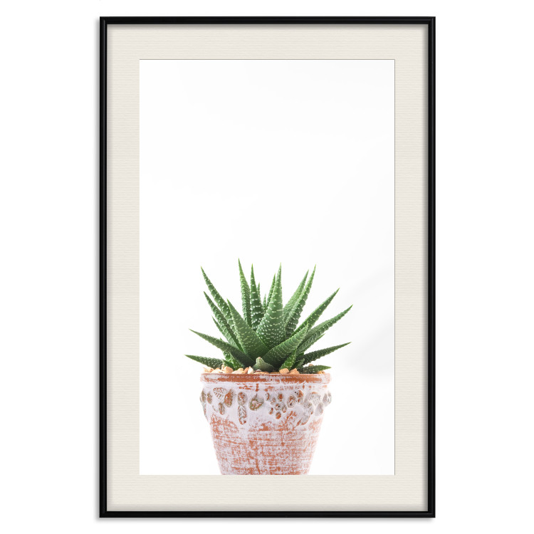 Wall Poster Succulents in Pot - composition with green leaves on a solid background 116653 additionalImage 18