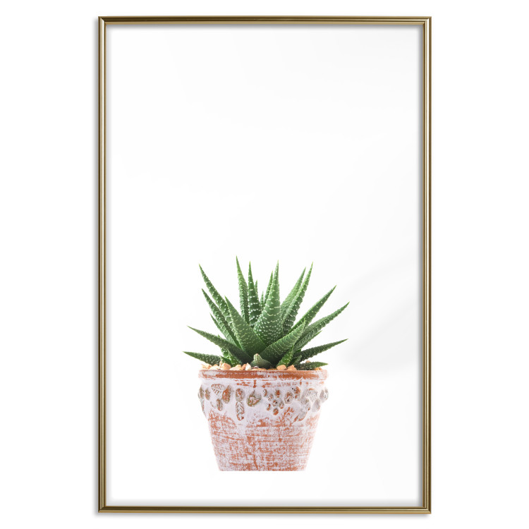 Wall Poster Succulents in Pot - composition with green leaves on a solid background 116653 additionalImage 14