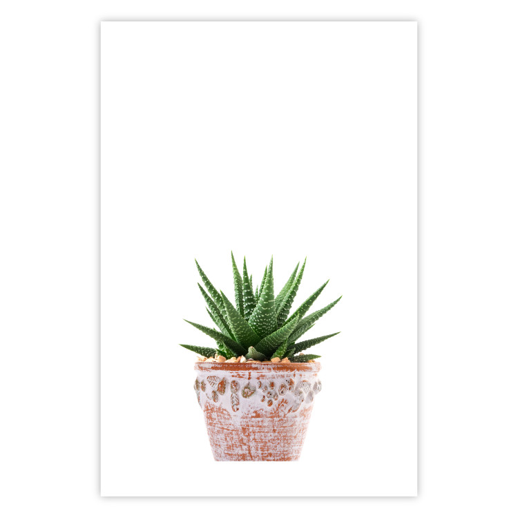 Wall Poster Succulents in Pot - composition with green leaves on a solid background 116653 additionalImage 25
