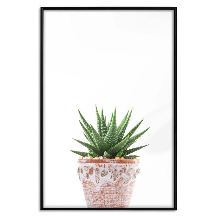Wall Poster Succulents in Pot - composition with green leaves on a solid background 116653 additionalImage 24